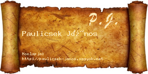 Paulicsek János névjegykártya